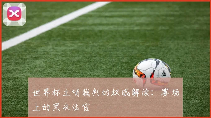 世界杯主哨裁判的权威解读：赛场上的黑衣法官