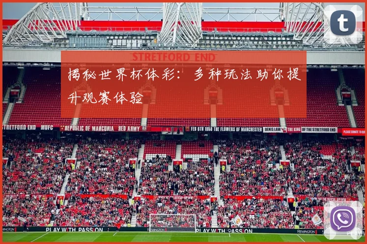 揭秘世界杯体彩：多种玩法助你提升观赛体验
