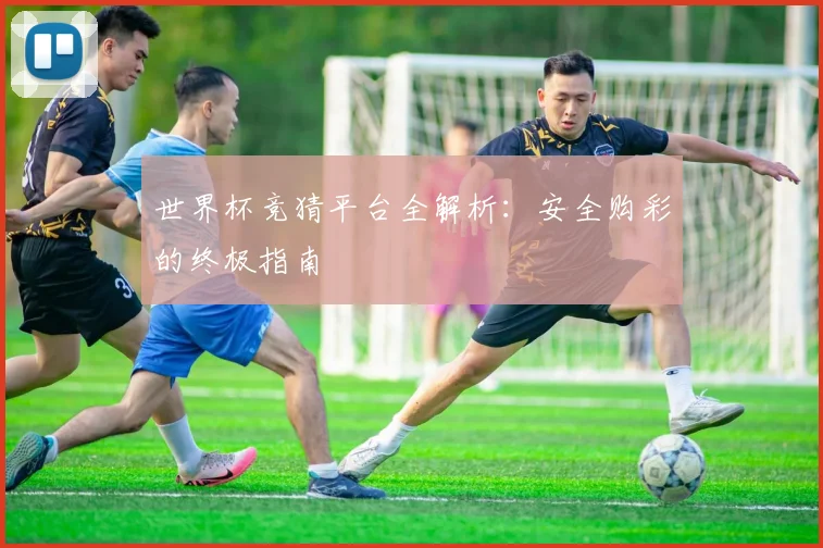 世界杯竞猜平台全解析:安全购彩的终极指南
