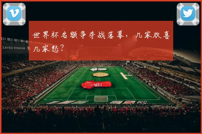 世界杯名额争夺战落幕,几家欢喜几家愁?
