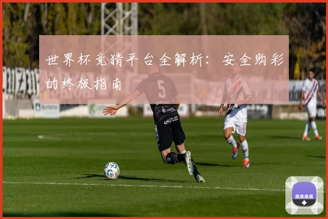 世界杯竞猜平台全解析:安全购彩的终极指南