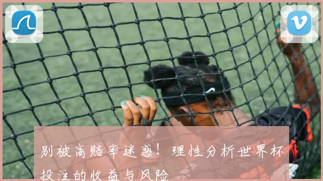 别被高赔率迷惑！理性分析世界杯投注的收益与风险